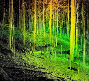 Thermal Imaging